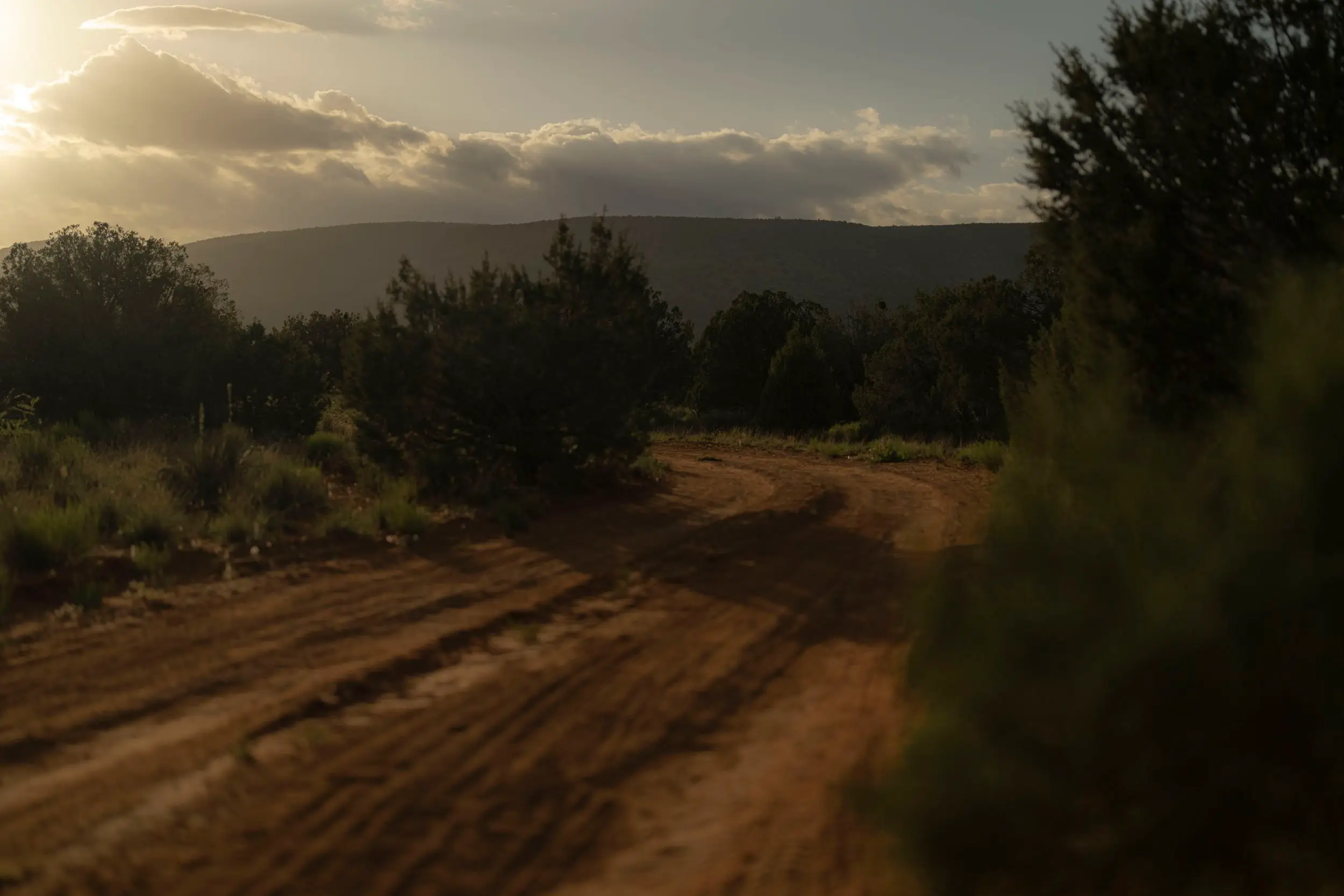 Sedona — photograph 78