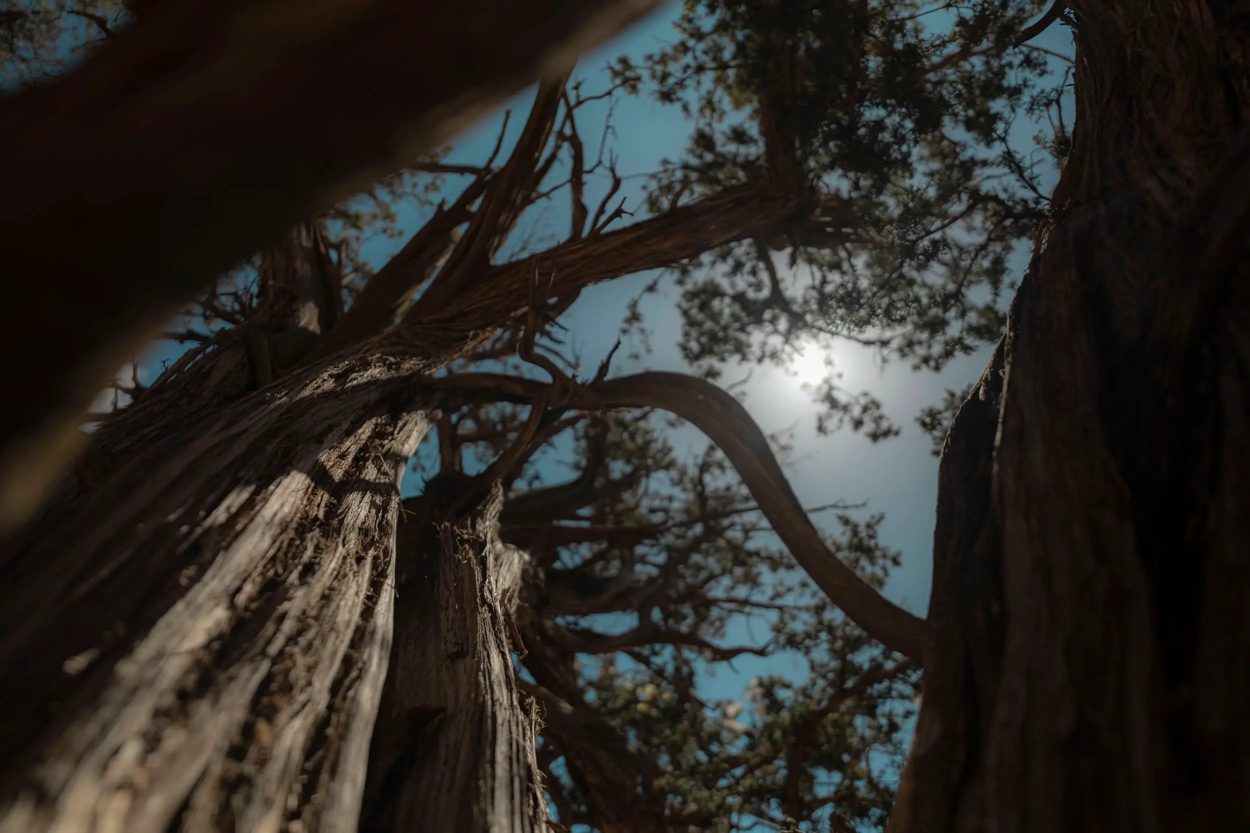 Sedona — photograph 81