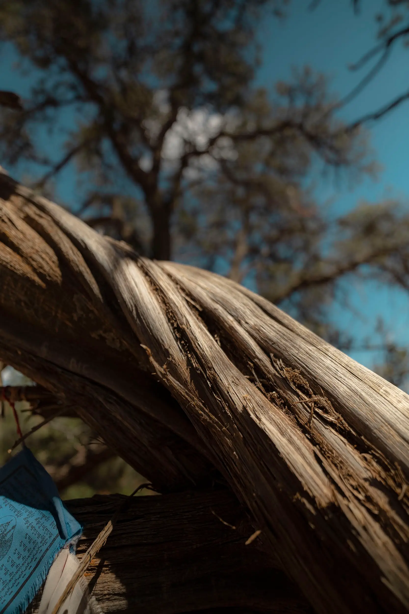 Sedona — photograph 82