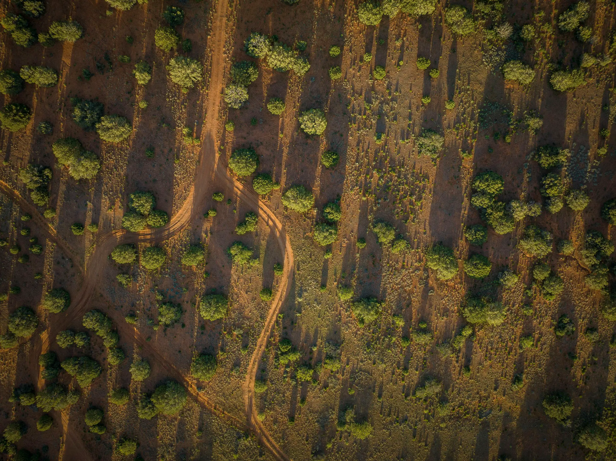 Sedona — photograph 101