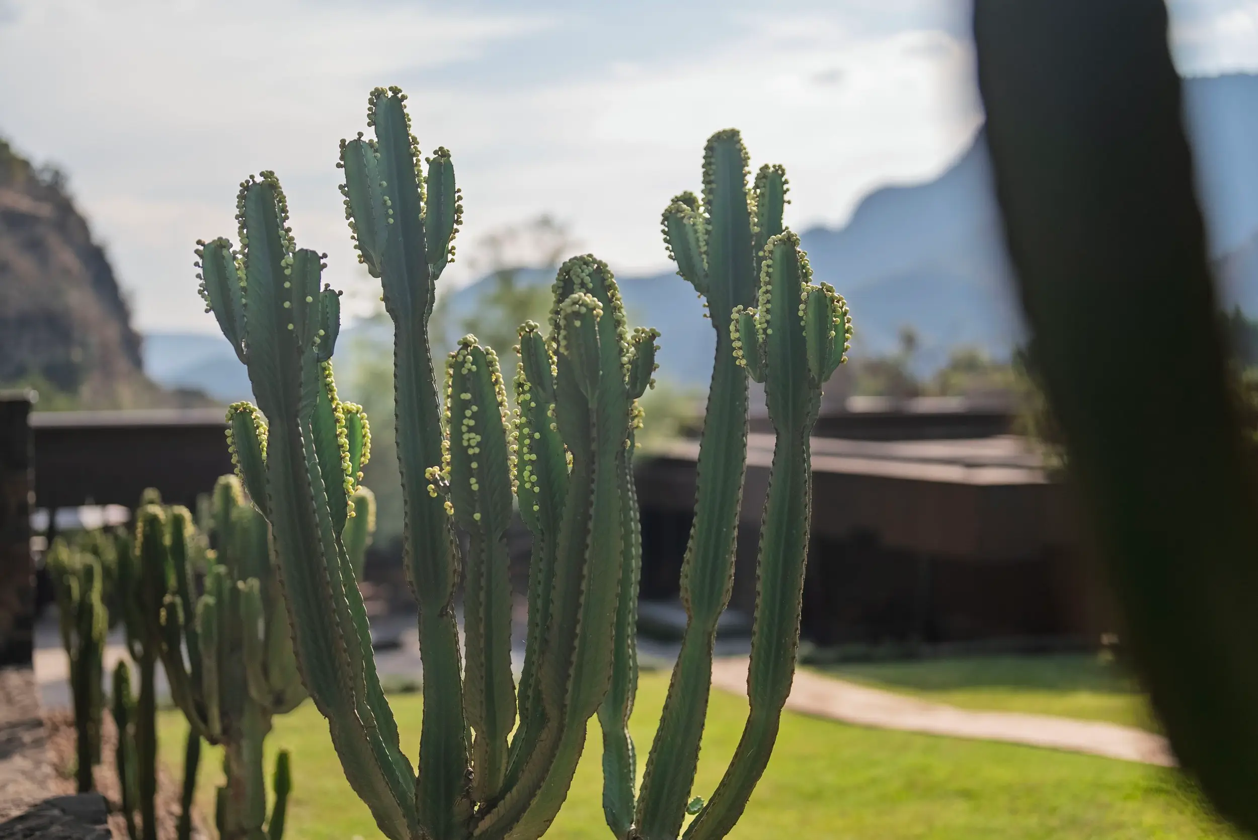 Ayurveda Retreat — photograph 48