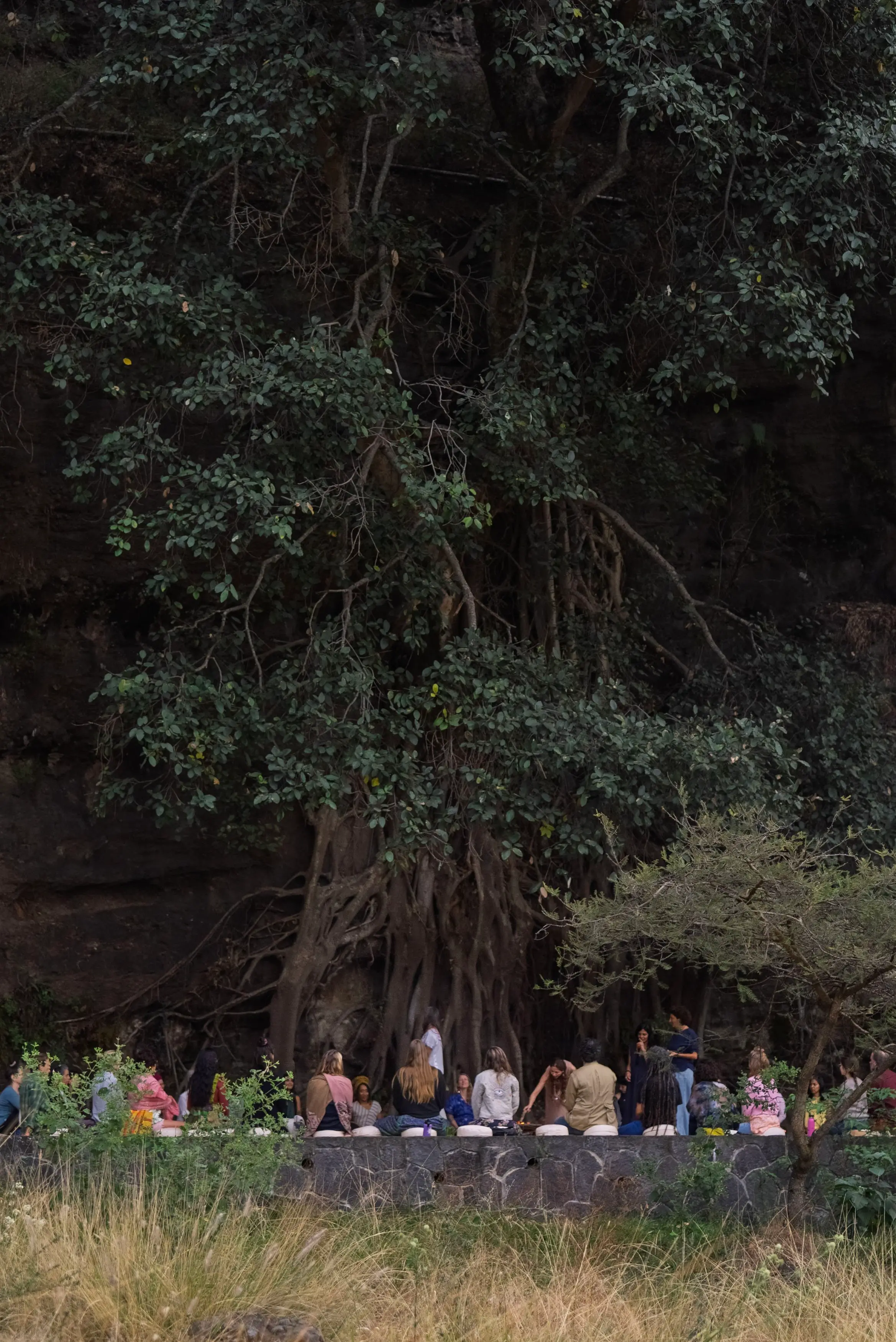 Ayurveda Retreat — photograph 50